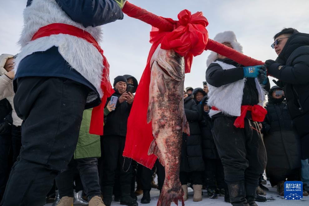万鱼腾跃 在中俄界湖体验冬捕