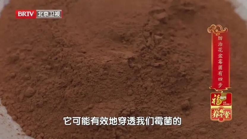 冬春养花=养霉菌？90%的人清理不干净