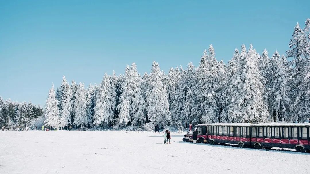 这次是“渗透式寒潮”！入冬以来最强雨雪冰冻天气开启！重庆天气大反转！“雾+雨+雪”组团来！