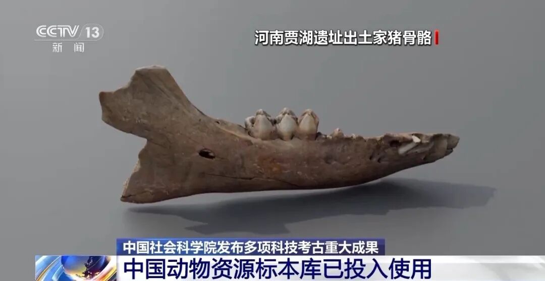 科技考古重大成果！青海都兰出土世界最早扎经染色织物实物