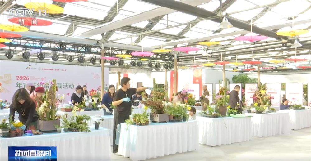 多地年宵花市逐渐升温“新”意涌现 “线上+线下”供销旺让生活锦上添“花”