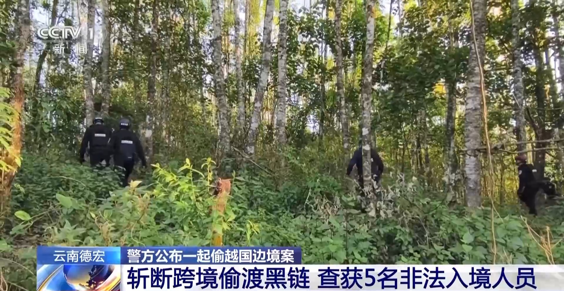 连夜追击 12人落网！云南警方斩断一起跨境偷渡黑链