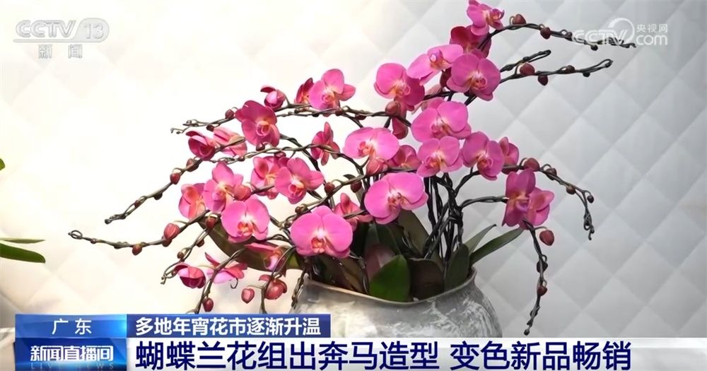 多地年宵花市逐渐升温“新”意涌现 “线上+线下”供销旺让生活锦上添“花”