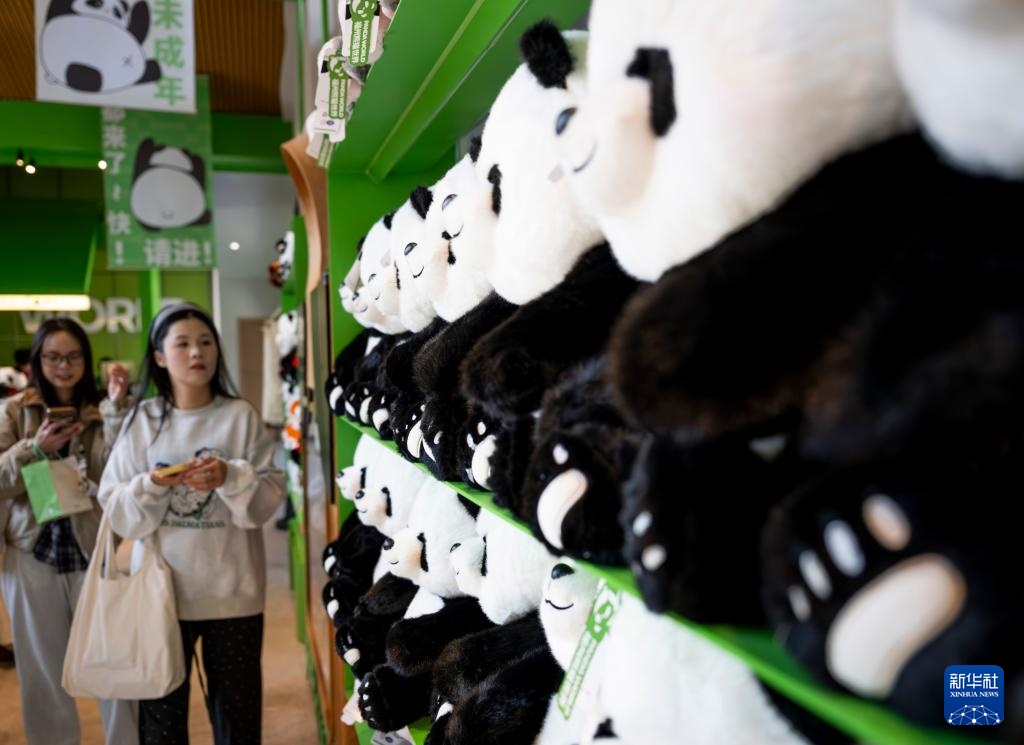 国宝大熊猫福州安新家