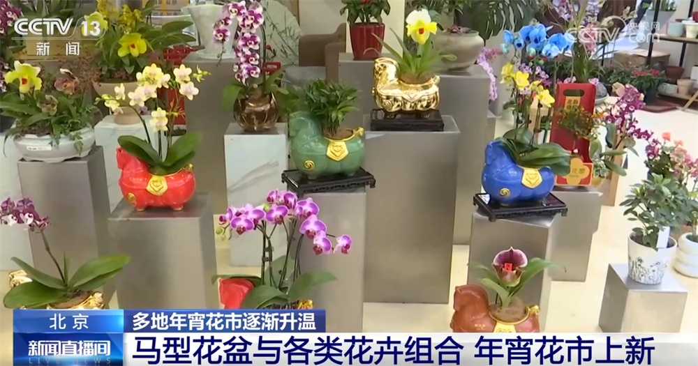 多地年宵花市逐渐升温“新”意涌现 “线上+线下”供销旺让生活锦上添“花”