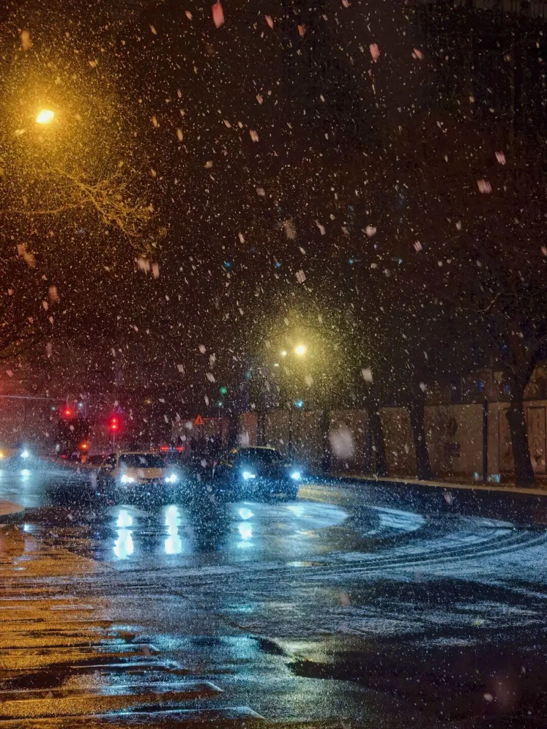 2026年京城初雪！你想看的雪景都在这里！