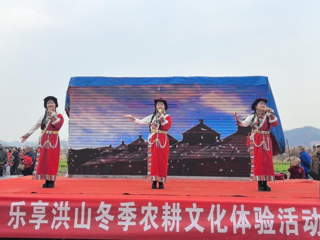 湖南双峰：千人田间共享“杀猪宴”