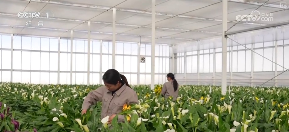 “马”上迎新创意不断 “马踏福来”“马上都来”成“宠儿”点亮节前消费热潮