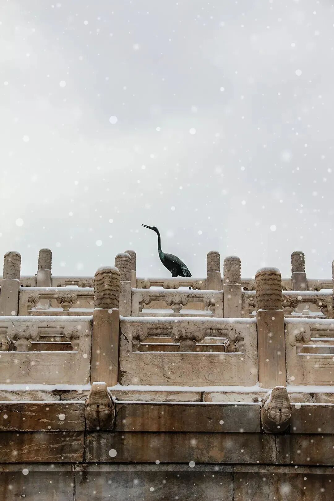瑞雪兆丰年！雪中故宫，来了→