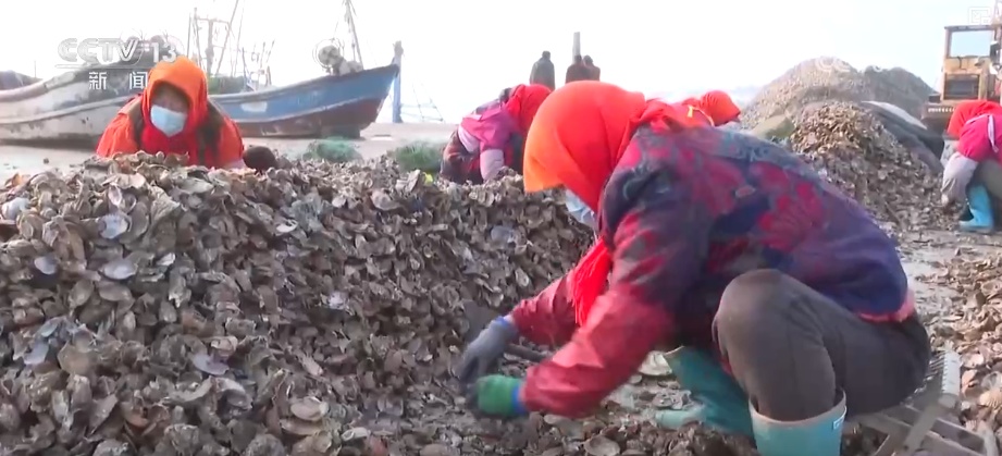“鲜味经济”“鲜花经济”撬动节前火热消费 多地开启“年货交易模式”
