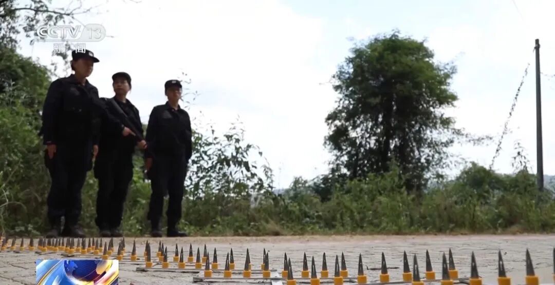 连夜追击，12人落网！云南德宏警方公布一起偷越国边境案