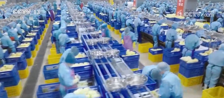 工业游从“小众体验”迈向“大众消费” “工业+文旅”多元场景释放新经济增长点