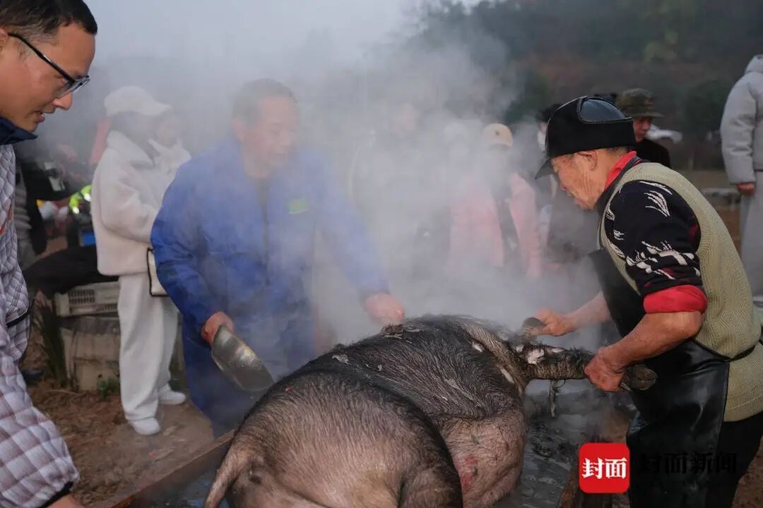 热闹！成都一农场“众筹”吃“刨猪汤” ，上千网友自带锅碗瓢盆赴约
