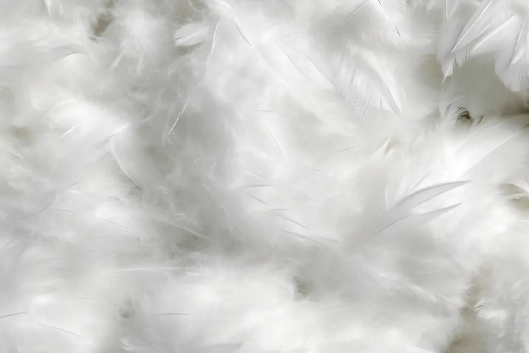 男子穿羽绒服患上“羽绒肺”，呼吸衰竭！紧急提醒