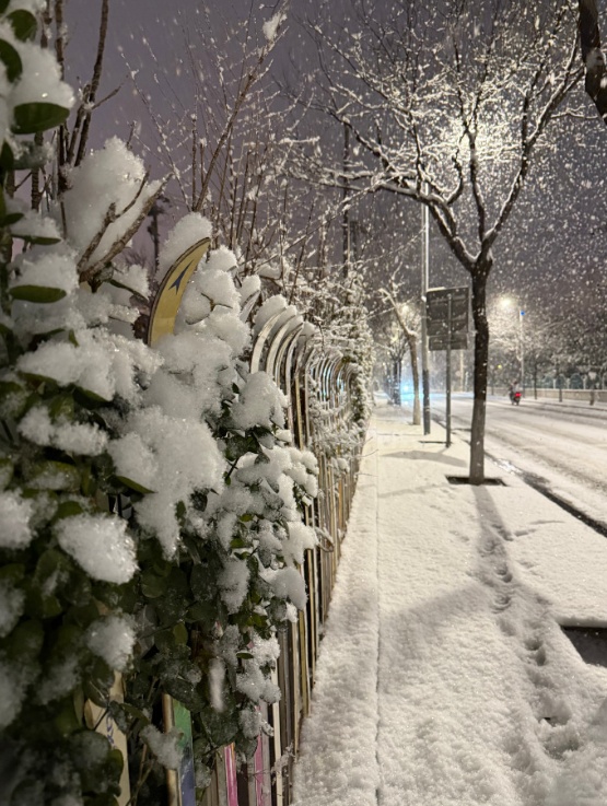 北京此次降雪为何雪花这么大？