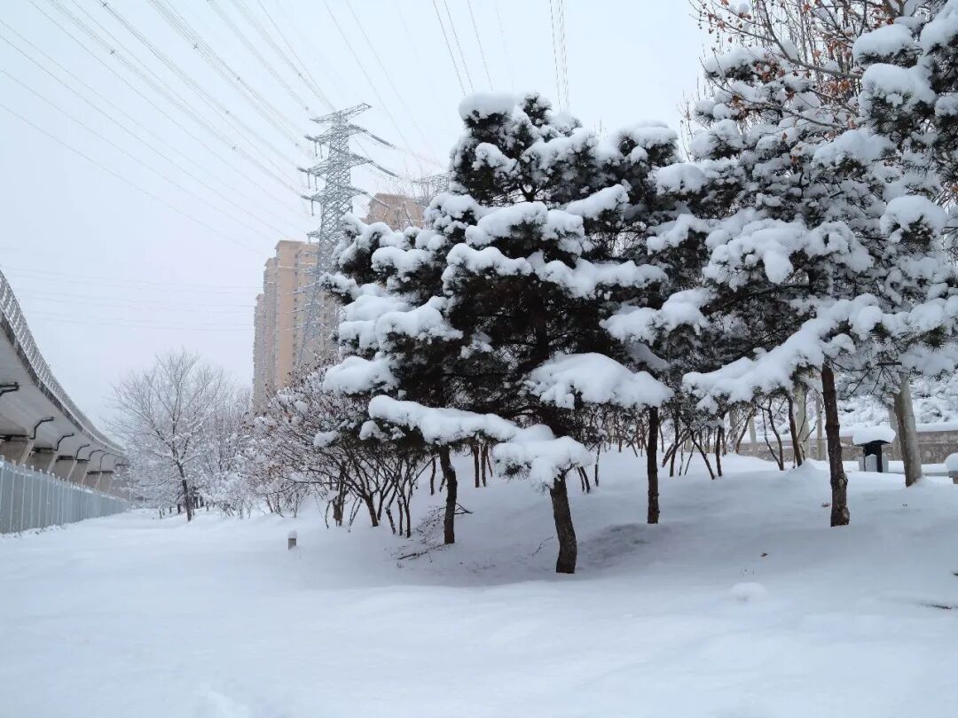 2026年京城初雪！你想看的雪景都在这里！