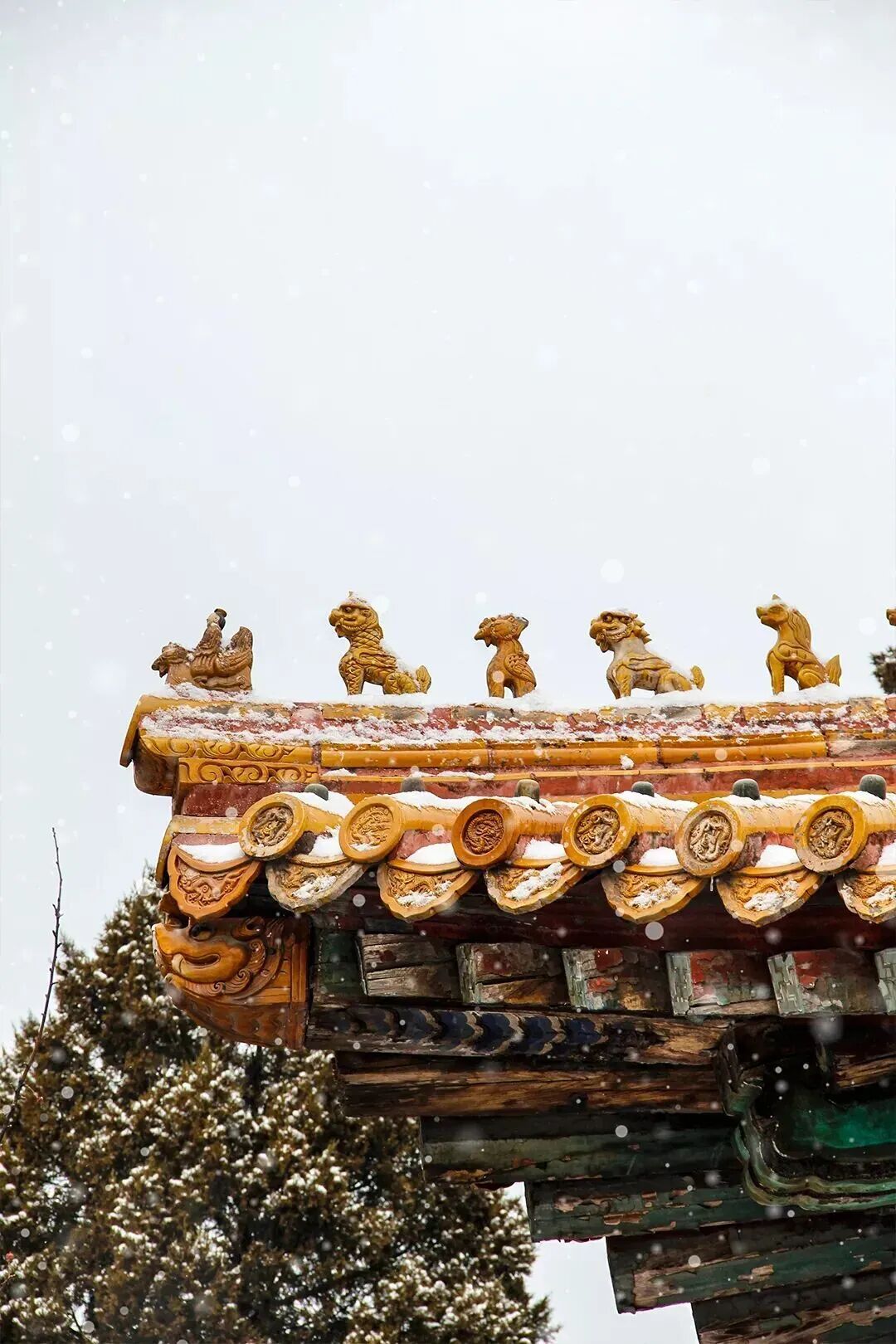 瑞雪兆丰年！雪中故宫，来了→