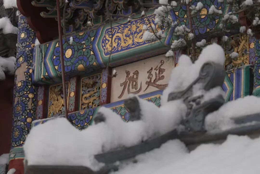 2026年京城初雪！你想看的雪景都在这里！