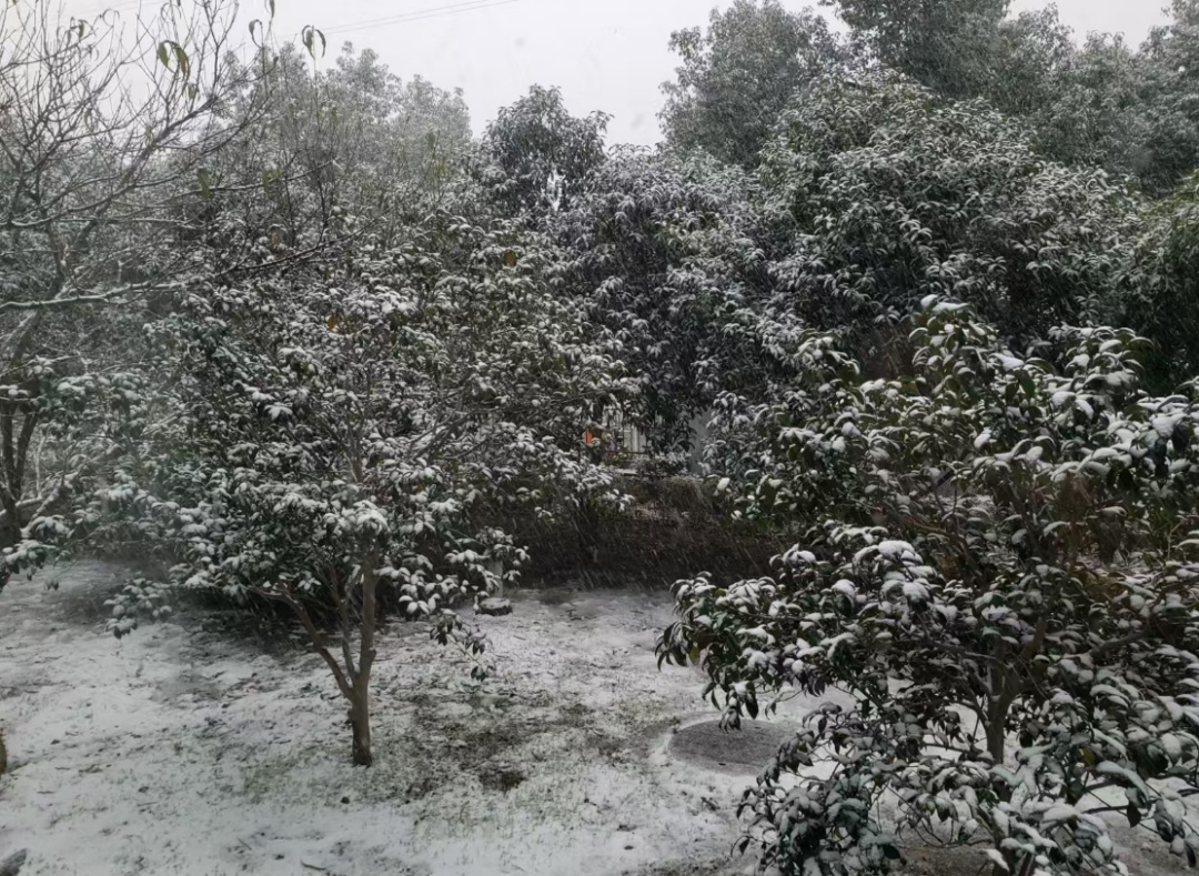 -6℃，杭州有中到大雪！明天提前准备