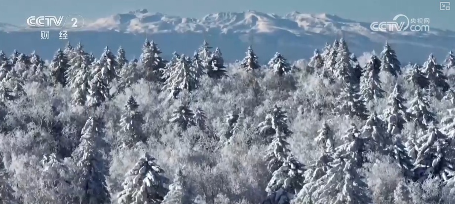 从“观赏”到“玩转” 冰雪消费新趋势、新亮点持续拓展冬季消费新空间
