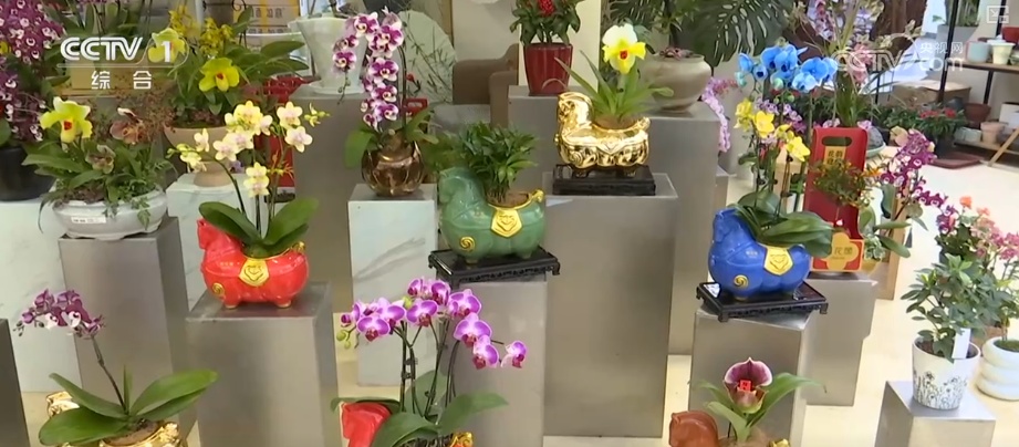 “马”上迎新创意不断 “马踏福来”“马上都来”成“宠儿”点亮节前消费热潮