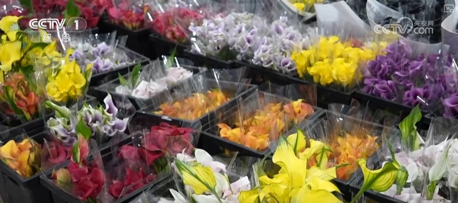 “马”上迎新创意不断 “马踏福来”“马上都来”成“宠儿”点亮节前消费热潮