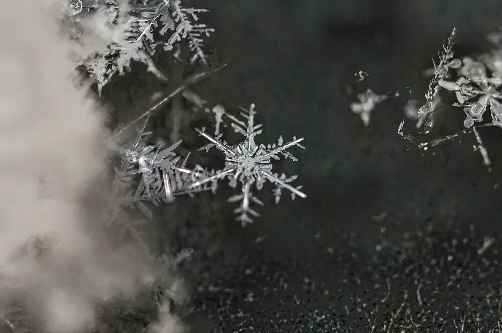 这，就是雪中的北京！