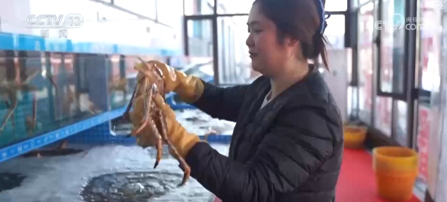 “鲜味经济”“鲜花经济”撬动节前火热消费 多地开启“年货交易模式”
