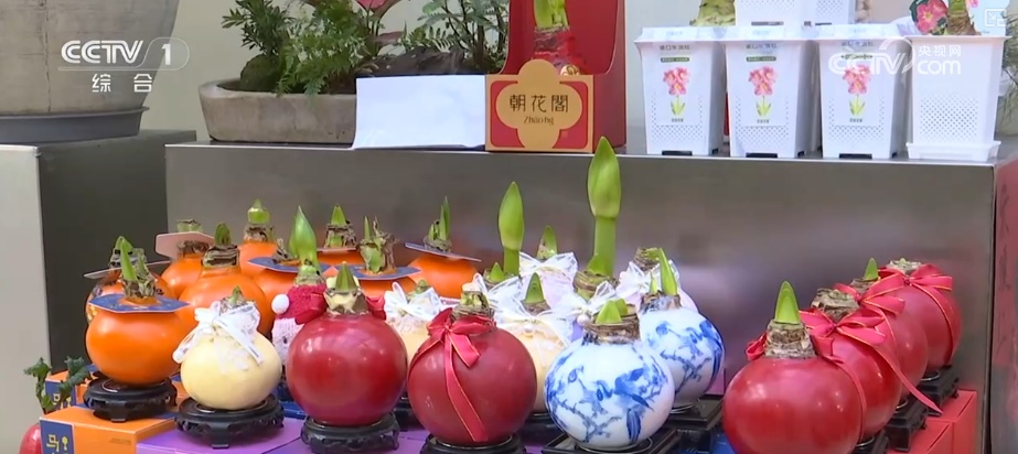 “马”上迎新创意不断 “马踏福来”“马上都来”成“宠儿”点亮节前消费热潮