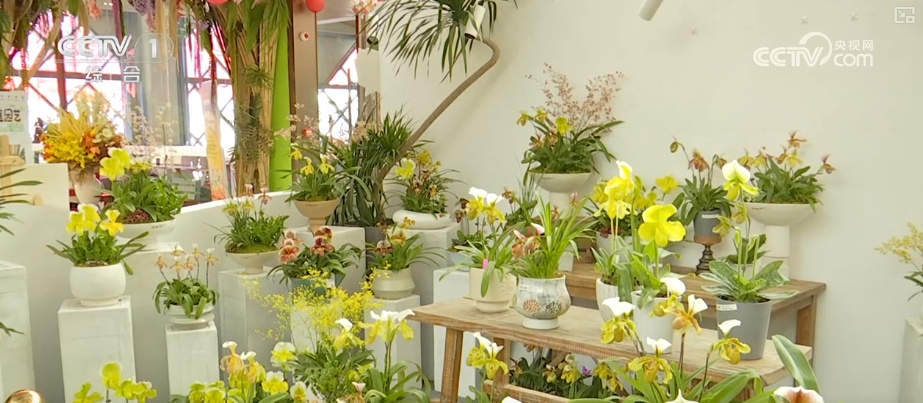 “马”上迎新创意不断 “马踏福来”“马上都来”成“宠儿”点亮节前消费热潮