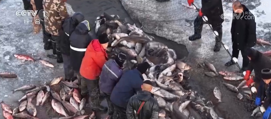 多元体验热“雪”沸腾聚人气 “冰雪+”跨界上“新”焕发新活力激活新消费