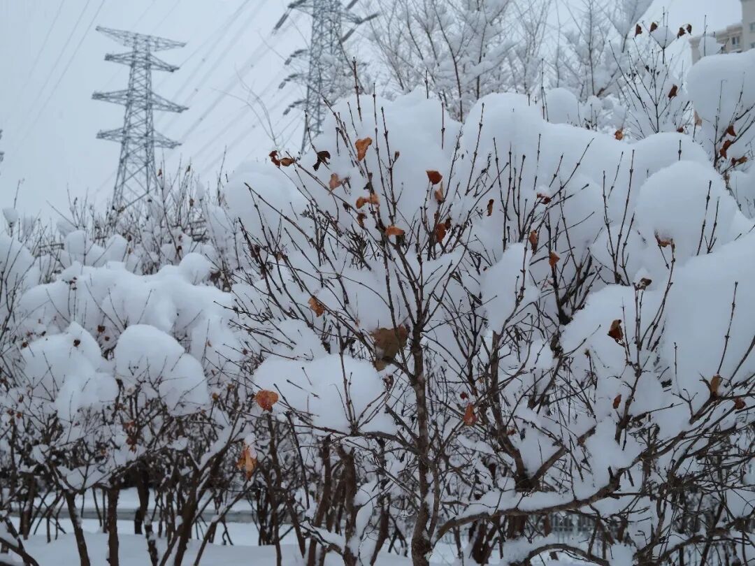 2026年京城初雪！你想看的雪景都在这里！