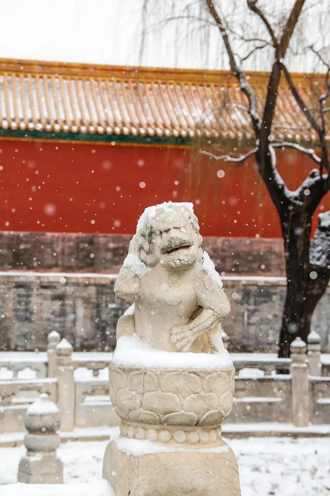 瑞雪兆丰年！雪中故宫，来了→