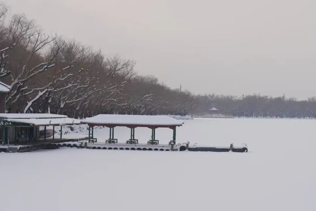 2026年京城初雪！你想看的雪景都在这里！