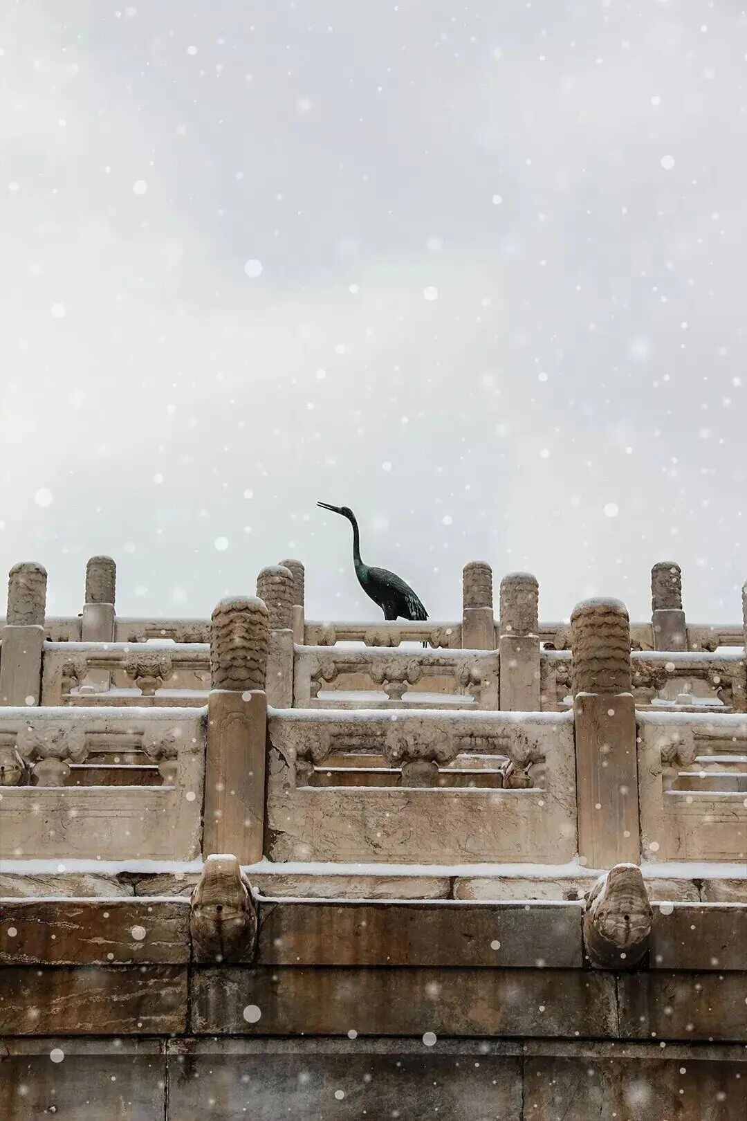 北京此次降雪为何雪花这么大？