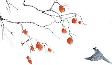 最强寒潮今晚就到！武汉将迎-7℃、冻雨、大雪