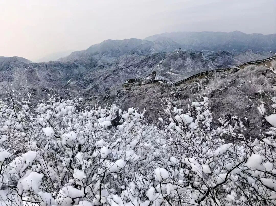 2026年京城初雪！你想看的雪景都在这里！