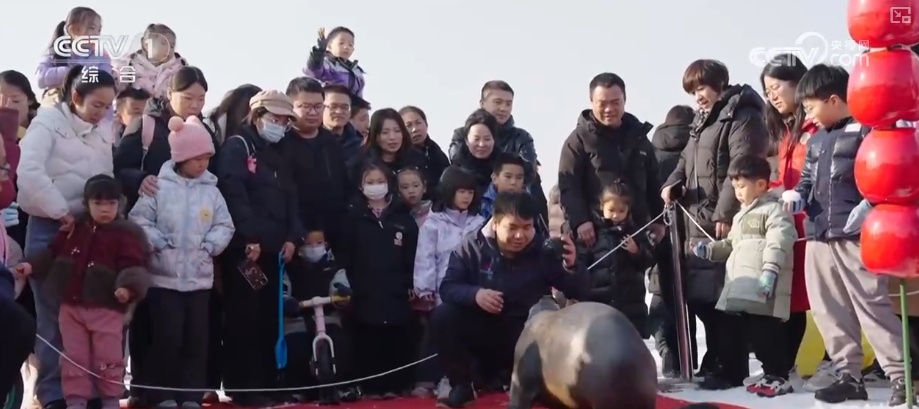 多元体验热“雪”沸腾聚人气 “冰雪+”跨界上“新”焕发新活力激活新消费