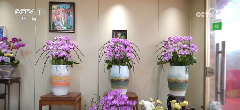 “马”上迎新创意不断 “马踏福来”“马上都来”成“宠儿”点亮节前消费热潮