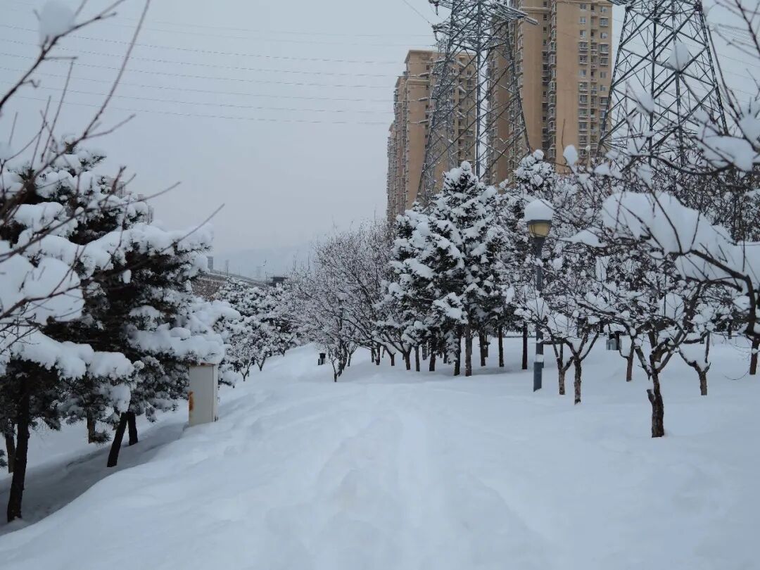 2026年京城初雪！你想看的雪景都在这里！