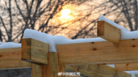 这次北京的雪有一点厚