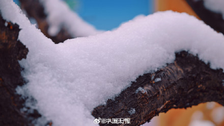 这次北京的雪有一点厚