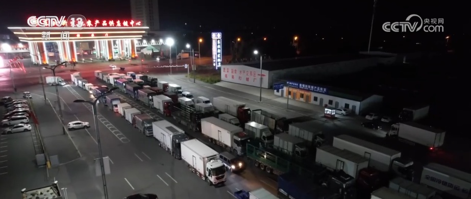 “鲜味经济”“鲜花经济”撬动节前火热消费 多地开启“年货交易模式”