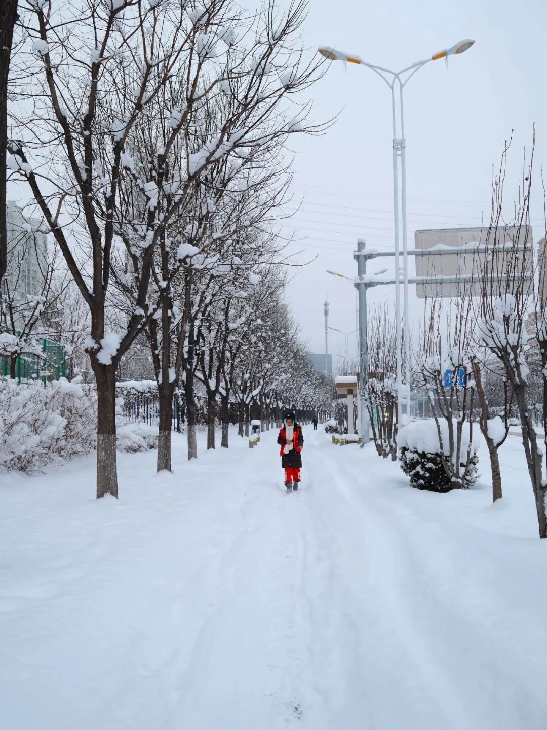 2026年京城初雪！你想看的雪景都在这里！