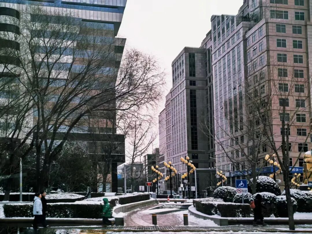 2026年京城初雪！你想看的雪景都在这里！