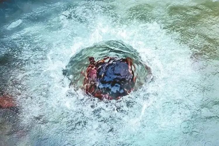 断流30多年的枯泉复涌！和地震有关系吗？