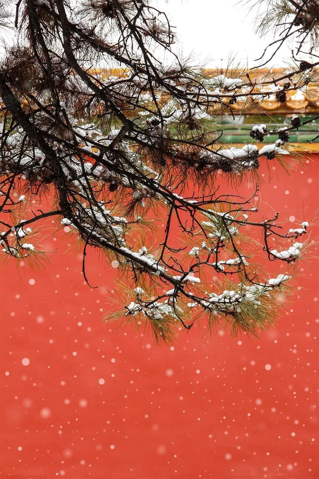 这，就是今天的故宫