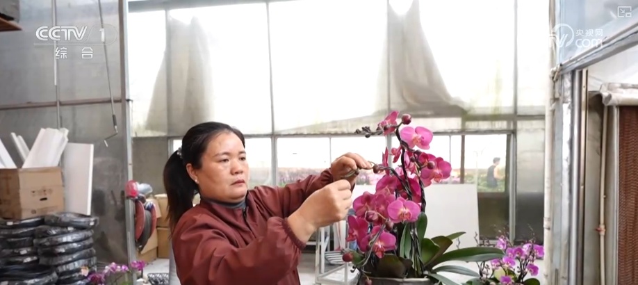 “马”上迎新创意不断 “马踏福来”“马上都来”成“宠儿”点亮节前消费热潮