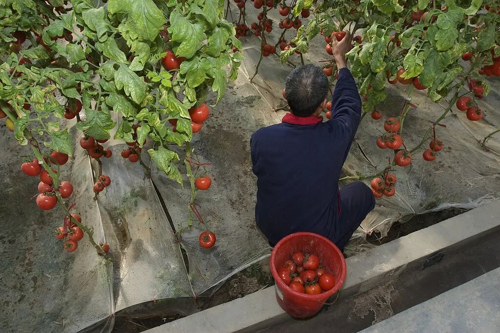 价格暴涨80.9%！上海几乎人人都爱，家家必备...春节会有改善？