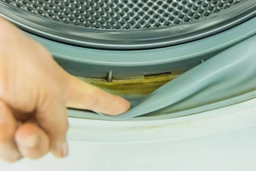 河南6岁女孩发烧17天，脑子被“啃”出十几个洞！医生提醒